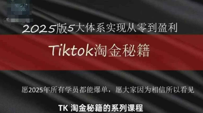 TikTok跨境2025淘金秘籍,2025TikTok从0到盈利变现-项目吧