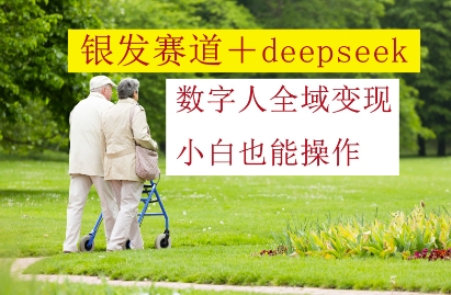 银发赛道+deepseek数字人全域变现,小白也能操作-项目吧