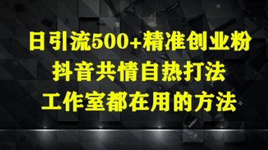 日引流500+精准创业粉,抖音共情自热打法,工作室都在用的方法-项目吧