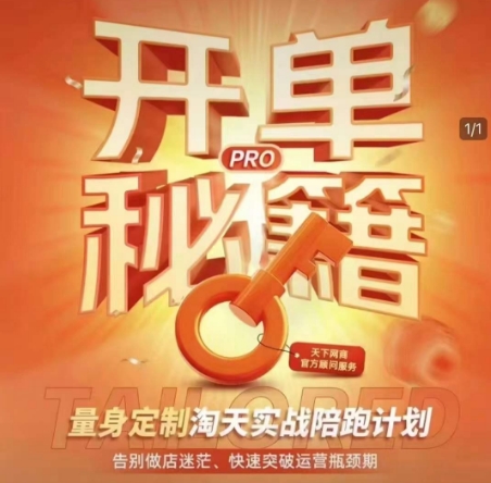 淘宝开单秘籍PRO,量身定制淘天实战陪跑计划,告别做店迷茫、快速突破运营瓶颈期(更新)-项目吧