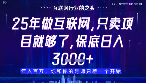 什么!25年你还在找项目做?风口早就变了,卖项目才是稳挣不赔【揭秘】-项目吧