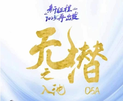 无潜不起全域入池方法论,2025再出发,全程干货满满,带你掌握全域入池关键技巧-项目吧