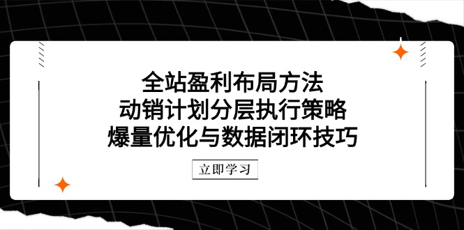 全站盈利布局方法:动销计划分层执行策略,爆量优化与数据闭环技巧-项目吧