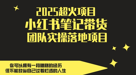 2025超火项目,副业最佳选择,小红书笔记带货团队实操落地项目,,轻松日入5张-项目吧