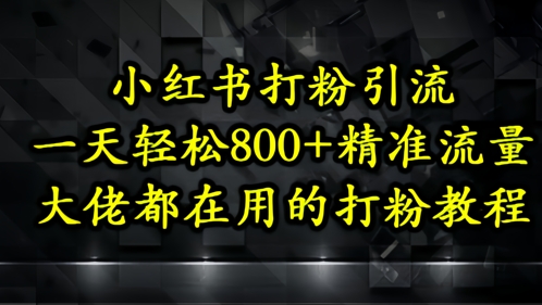 小红书打粉引流,一天轻松500+精准流量,大佬都在用的打粉教程-项目吧