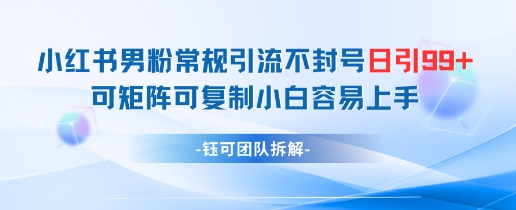 小红书男粉常规引流不封号日引99+变现简单 可矩阵可复制小白容易上手-项目吧