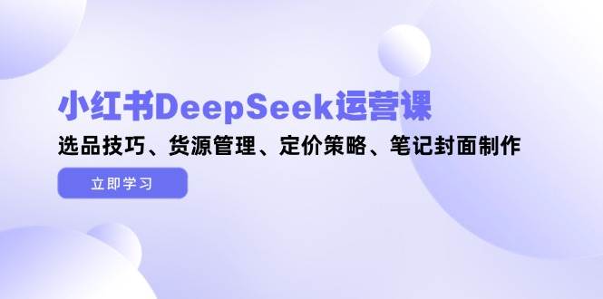 小红书DeepSeek运营课,选品技巧、货源管理、定价策略、笔记封面制作-项目吧