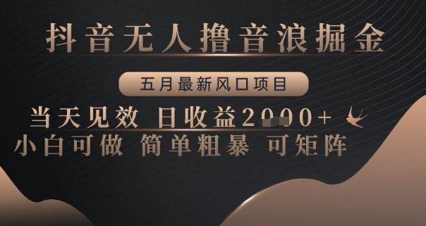 抖音无人撸音浪掘金,五月最新风口项目,当天见效,日收益多张,小白可做简单粗暴可矩阵【揭秘】-项目吧