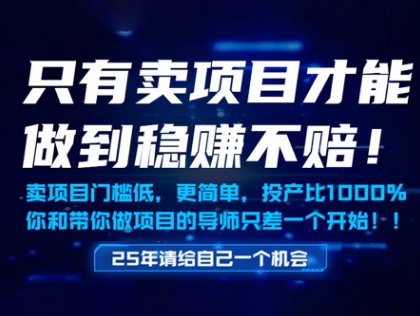 只有卖项目才能做到稳挣不赔,门槛低,更简单,你也可以年入百个W【揭秘】-项目吧