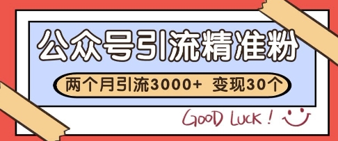 公众号精准粉引流玩法,2个月3000+精准粉,变现30个W【揭秘】-项目吧