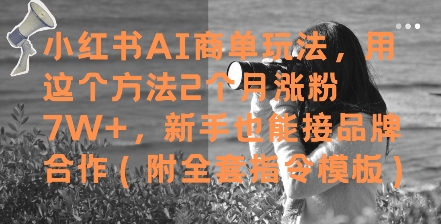 小红书AI商单玩法,用这个方法2个月涨粉7W+,新手也能接品牌合作(附全套指令模板)-项目吧