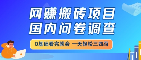 网创搬砖项目,国内问卷调查,小白轻松上手,一天三四张的也不难,干就完了【揭秘】-项目吧