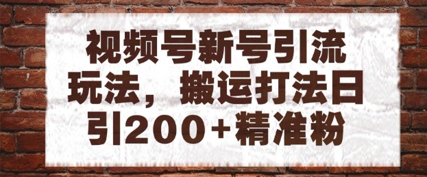 视频号新号引流玩法,搬运打法日引200+精准粉,可矩阵放大【揭秘】-项目吧