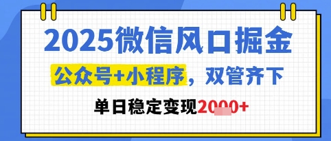 2025微信风口掘金,公众号+小程序双管齐下,单日稳定变现1k+【揭秘】-项目吧