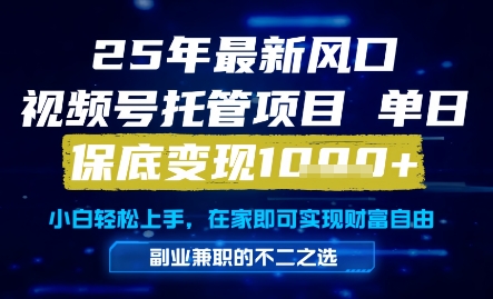 25年最新风口,视频号托管项目,单日保底变现1k+,手把手教学【揭秘】-项目吧