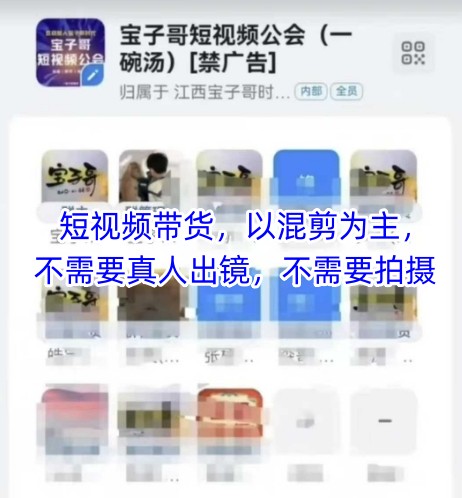 宝子哥头部团队短视频带货,以混剪为主,不需要真人出镜,不需要拍摄【更新】-项目吧