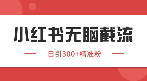 小红书截流同行客源，独家野路子获客玩法 日引200+暴力获客【揭秘】-项目吧