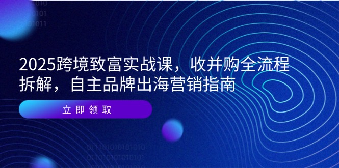 2025跨境致富实战课,收并购全流程拆解,自主品牌出海营销指南-项目吧