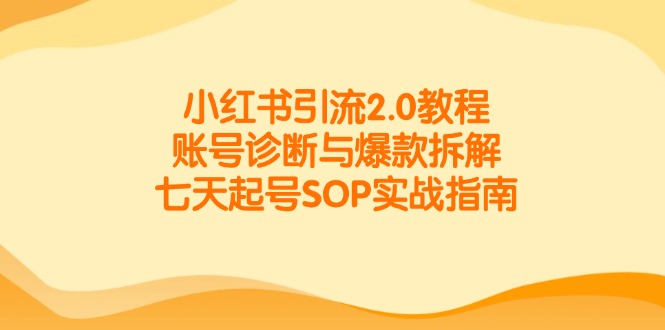 小红书引流2.0教程,账号诊断与爆款拆解,七天起号SOP实战指南-项目吧