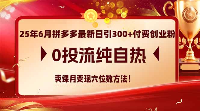 25年6月拼多多最新日引300+付费创业粉，0投流纯自热 卖课月变现六位数方法-项目吧