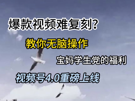 视频号4.0重磅上线,爆款视频难复刻?教你无脑操作宝妈学生党的福利【揭秘】-项目吧