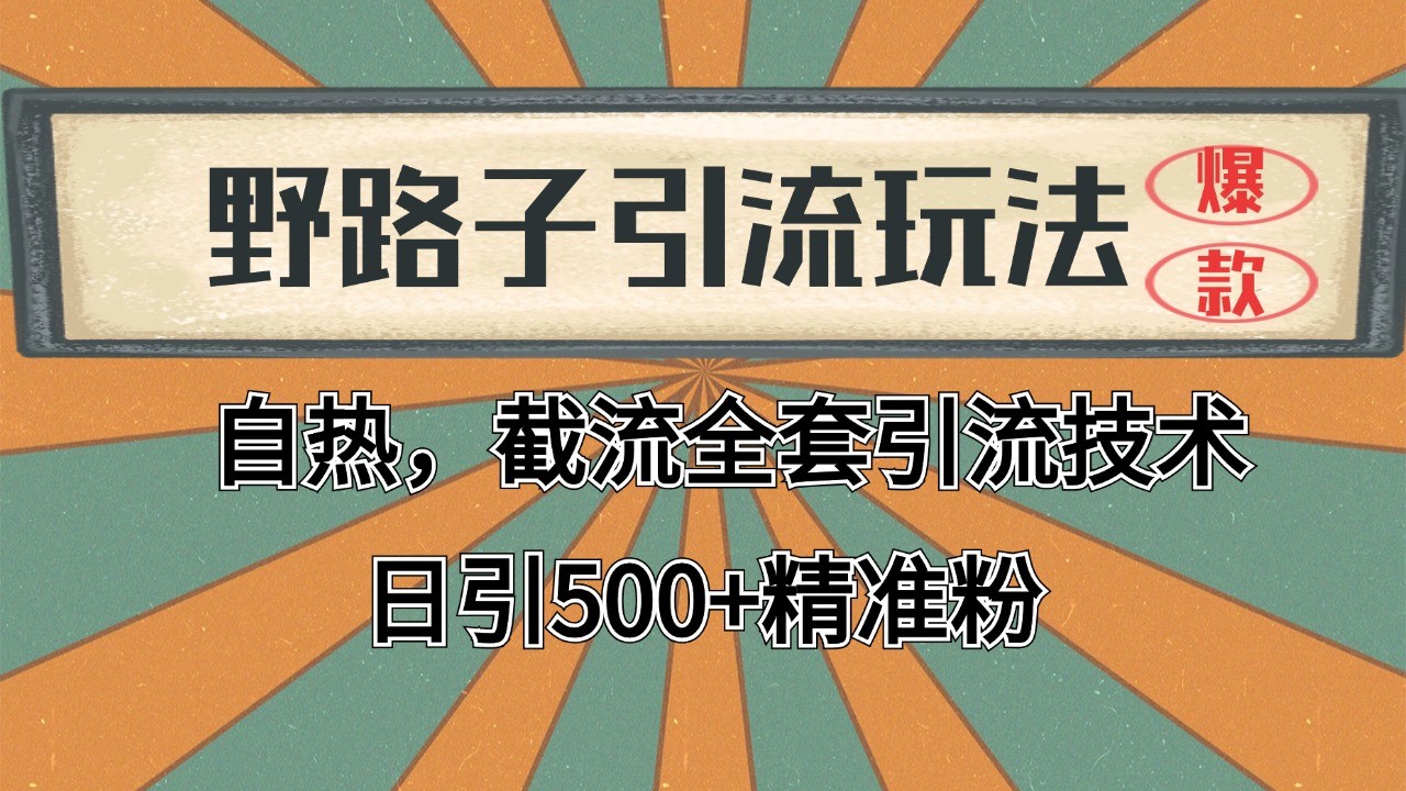 2024首发野路子引流玩法截流自热全平台打法,全自动引流【日引2000+精准客户】-项目吧