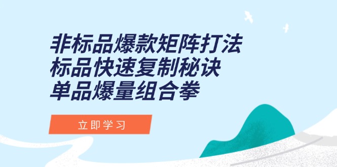 非标品爆款矩阵打法,标品快速复制秘诀,单品爆量组合拳-项目吧