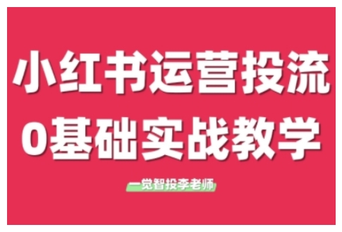小红书运营投流，小红书广告投放从0到1的实战课，学完即可开始投放(更新)-项目吧