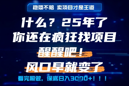 什么?25年你还在疯狂找项目做,醒醒吧,看完这些你全都懂了!【揭秘】-项目吧
