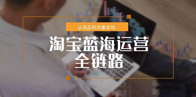 淘宝蓝海运营全链路,从选品到流量变现,小类目突围完整方案-项目吧