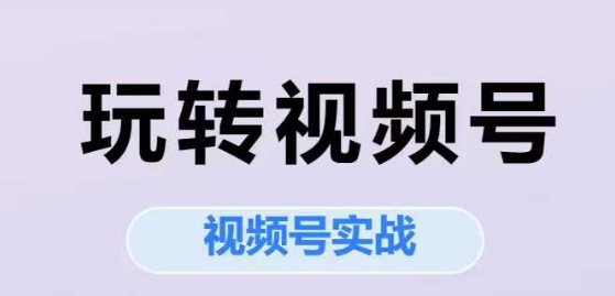 玩转视频号,视频号实战系列课-项目吧