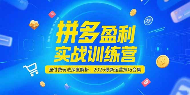 拼多多盈利实战训练营,强付费玩法深度解析,2025运营技巧合集-更新6月-项目吧