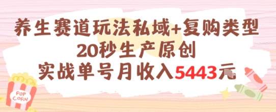 养生赛道玩法私域+复购类型，20秒生产原创实战单号月收入5k+-项目吧
