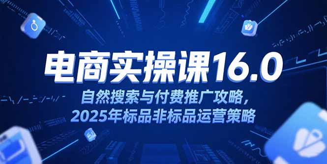 淘宝电商运营课16.0,自然搜索与付费推广攻略,2025年标品非标品运营策略-项目吧