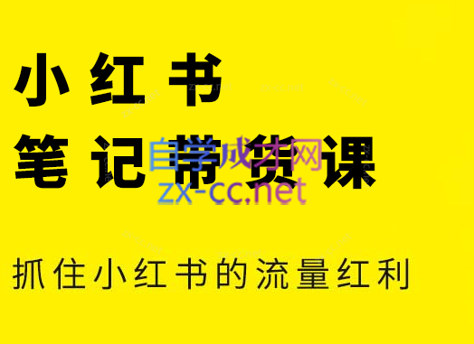 张宾·小红书笔记带货课(更新6月)-项目吧