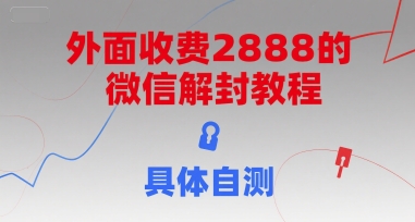 外面收费2888的微信解封教程,具体自测-项目吧