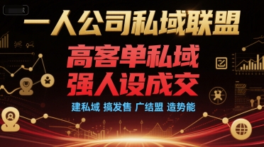 一人公司私域联盟,高客单私域,强人设成交,建私域 搞发售 广结盟 造势能-项目吧