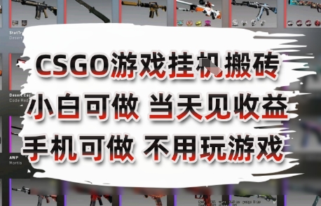CSGO游戏挂G搬砖,小白纯手机即可操作,不用电脑打游戏,日入3张+,副业网创项目【揭秘】-项目吧