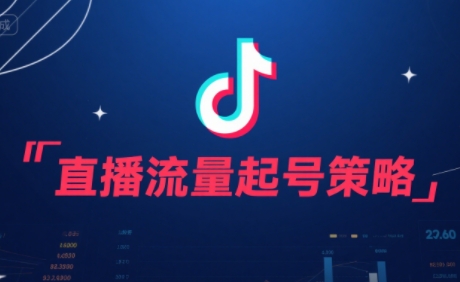 尼采老师·直播流量起号实战课-项目吧