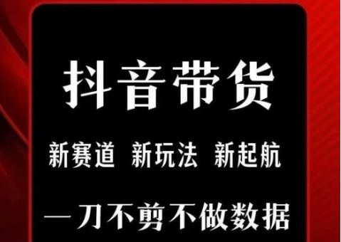 抖音短视频一刀不剪带货,不剪辑,不直播,每天发个视频,等着出单获取带货佣金-项目吧