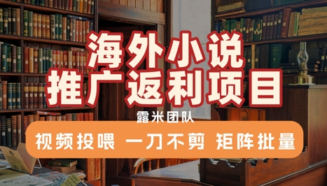 海外小说推广返利项目,视频投喂, 一刀不剪,矩阵批量-项目吧