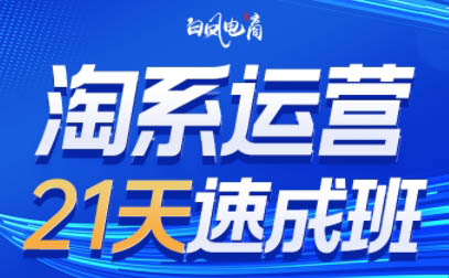 白凤电商·淘系运营21天速成班(更新7月)-项目吧