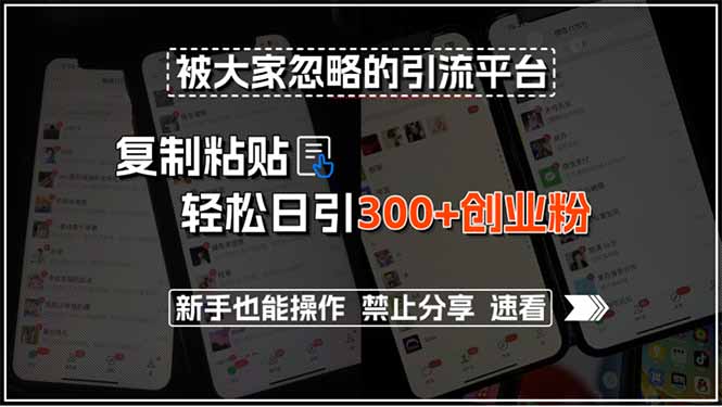 被大家忽略的引流平台,复制粘贴轻松日引300+创业粉,新手也能操作,禁…-项目吧