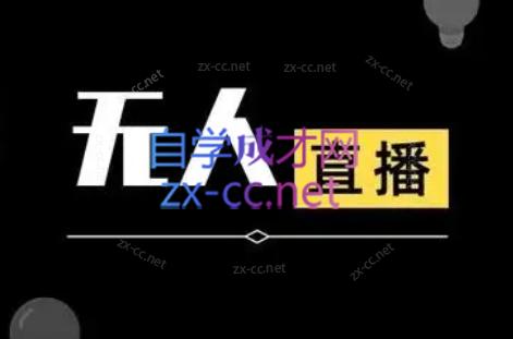 宝子哥·无人直播-非实时防风技术(更新7月)-项目吧