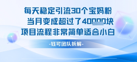 每天稳定引流30个人 当月变成超过了4个W项目流程非常简单适合小白-项目吧