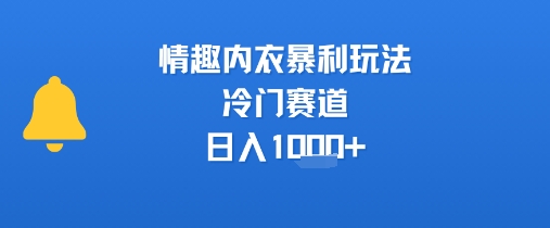情趣内衣暴利玩法,冷门赛道,日入1k+-项目吧