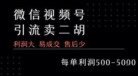 视频号卖二胡教程,利润大 易成交 售后少,一单利润5张+-项目吧