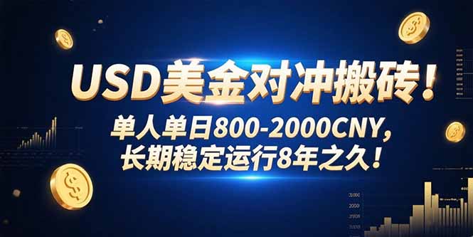 USD美金对冲搬砖!单人单日800-2000CNY,长期稳定运行8年之久!-项目吧