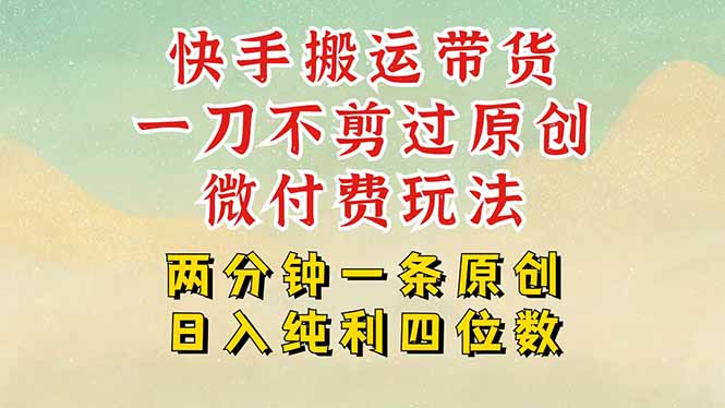 快手黑科技搬运带货,一刀不剪过原创,微付费投流玩法,轻松日入四位数…-项目吧