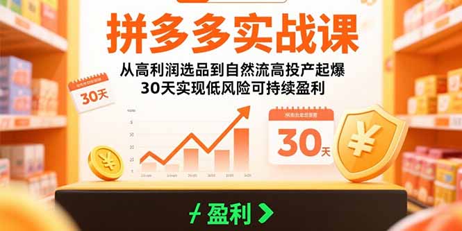 拼多多实战课:从高利润选品到自然流高投产起爆 30天实现低风险可持续盈利-项目吧